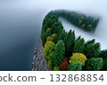Winding green trees shaped like a letter near a misty water body 132868854