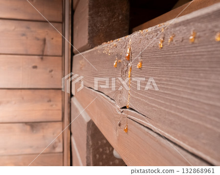 Tree Resin on Wooden Cabin Exterior 132868961