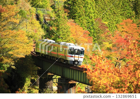 高山本線的秋葉景色蔚為壯觀。 132869651