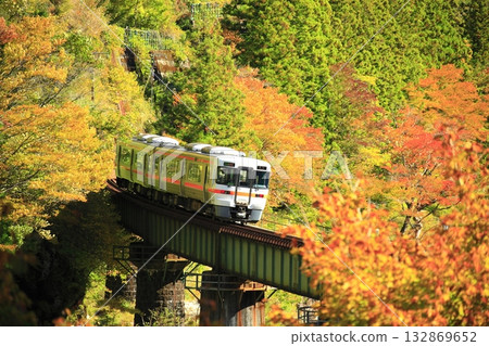 高山本線的秋葉景色蔚為壯觀。 132869652