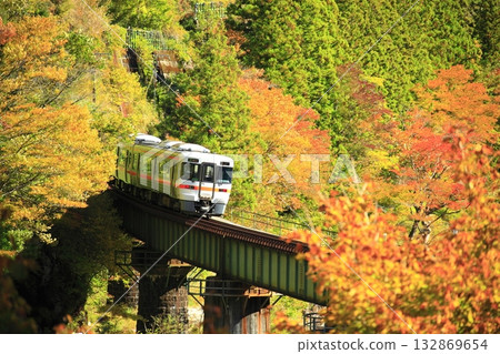 高山本線的秋葉景色蔚為壯觀。 132869654