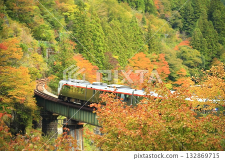 Wide View Hida running through autumn leaves 132869715