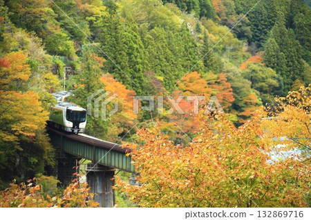 Wide View Hida running through autumn leaves 132869716