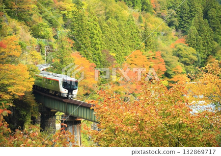 Wide View Hida running through autumn leaves 132869717