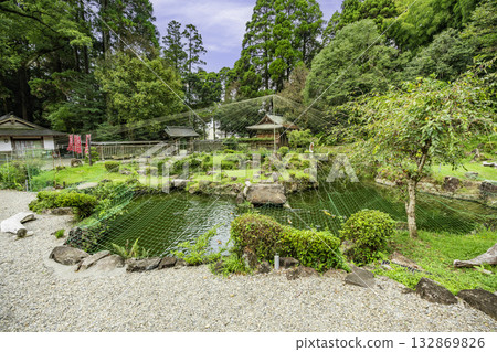 宮崎縣角野町角野神社西庭 宮崎縣角野町角野神社西庭 132869826