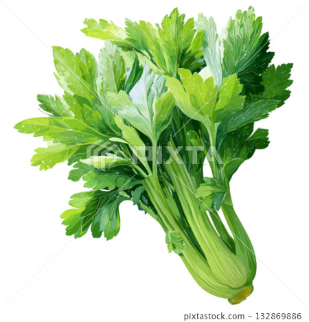 Celery 132869886