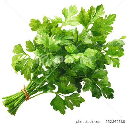 Celery Celery 132869888