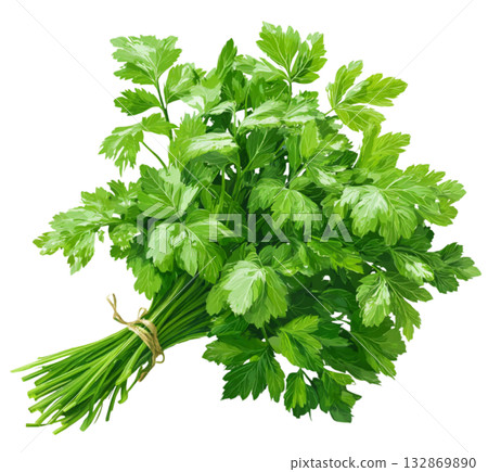 Celery 132869890