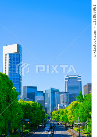 [Tokyo] May: Cityscape around Shiba Park (Route 409) 132869961