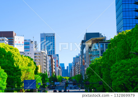 [Tokyo] May: Cityscape around Shiba Park (Route 409) 132869979