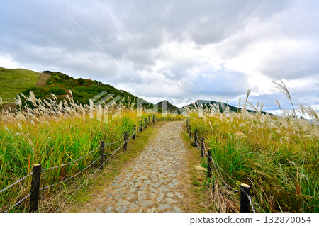 The vast pampas grass plains of Soni Plateau 132870054