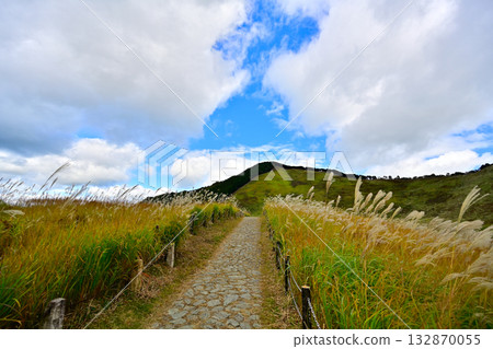 The vast pampas grass plains of Soni Plateau 132870055
