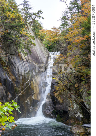 Senga Falls, Shosenkyo Gorge, Autumn, November [Kofu City, Yamanashi Prefecture] 132870094