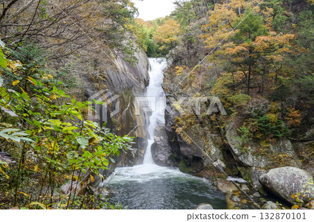 Senga Falls, Shosenkyo Gorge, Autumn, November [Kofu City, Yamanashi Prefecture] 132870101