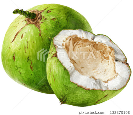 coconut coconut 132870108