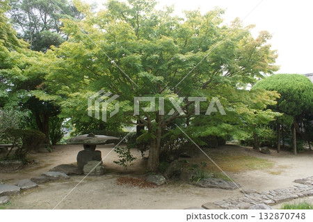 喜月町景(原武士宅邸)原大原宅邸花園 喜月町景(原武士宅邸)原大原宅邸花園 132870748