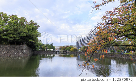 Fall of the Imperial Palace Fall of the Imperial Palace 132870973