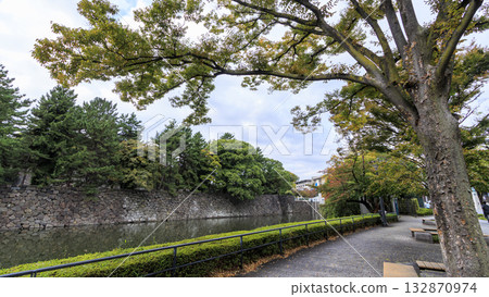 Fall of the Imperial Palace Fall of the Imperial Palace 132870974