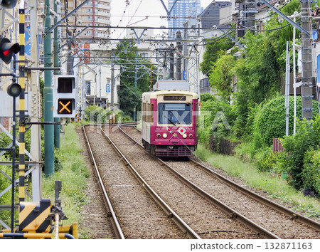 東京櫻花電車(都電荒川線)~瀧野川一丁目站 東京櫻花電車(都電荒川線)~瀧野川一丁目站 132871163