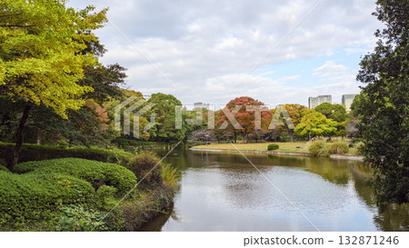 Kitanomaru公園的秋天 Kitanomaru公園的秋天 132871246