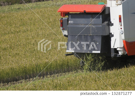 水稻雙季種植的復興 132871277