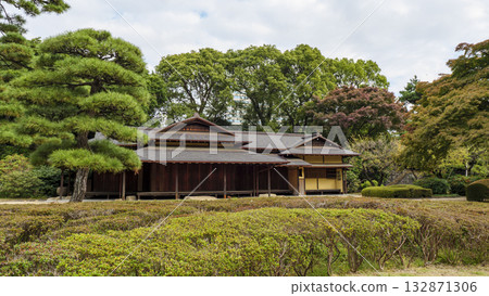 皇宮東花園的秋景（秋葉） 132871306