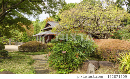 皇宮東花園的秋景（秋葉） 132871309