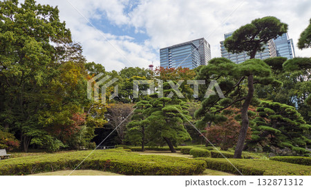 Autumn (Autumn leaves) in the East Gardens of the Imperial Palace Autumn (Autumn leaves) in the East Gardens of the Imperial Palace 132871312