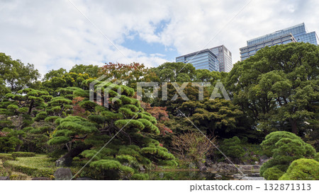 皇宮東花園的秋景(秋葉) 皇宮東花園的秋景(秋葉) 132871313