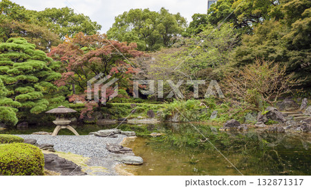 Autumn (Autumn leaves) in the East Gardens of the Imperial Palace Autumn (Autumn leaves) in the East Gardens of the Imperial Palace 132871317