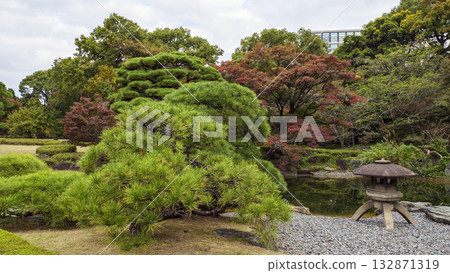 Autumn (Autumn leaves) in the East Gardens of the Imperial Palace Autumn (Autumn leaves) in the East Gardens of the Imperial Palace 132871319