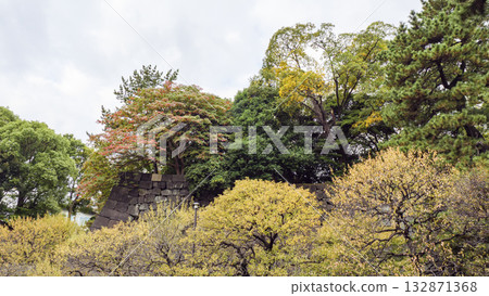 皇宮東苑的秋景 132871368
