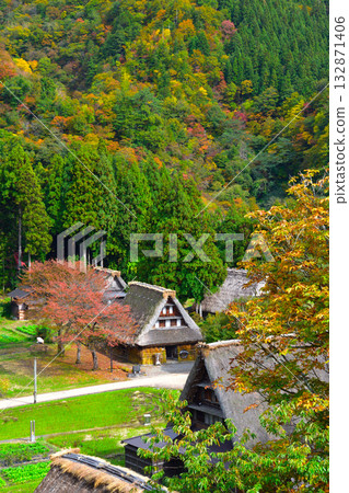 秋天的五簇山菅沼合掌村 132871406