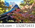 The garden of Yamadera Temple is vibrantly colored in autumn 132871433