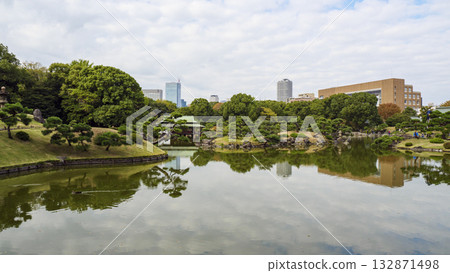 Kiyosumi花園的秋天 Kiyosumi花園的秋天 132871498