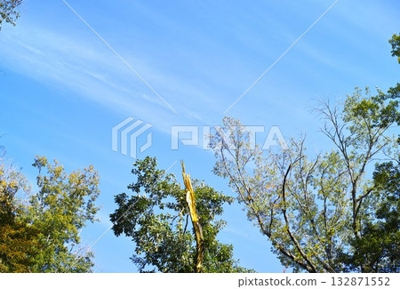藍色的天空和雲圖像 藍色的天空和雲圖像 132871552