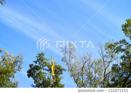 藍色的天空和雲圖像 132871553