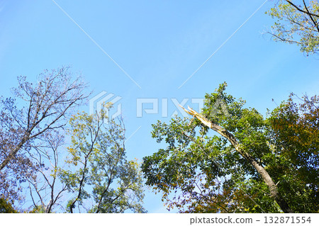 藍色的天空和雲圖像 132871554