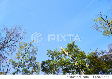 Blue sky and cloud image 132871555