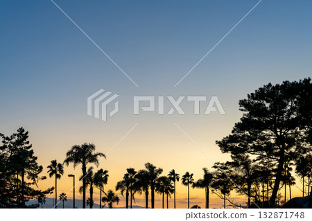 暮色籠罩下的天空，樹木的輪廓和日落 132871748