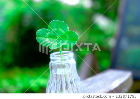 Four leaves Four leaves 132871783