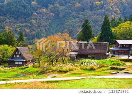 秋天的五簇山相倉合掌村 秋天的五簇山相倉合掌村 132871821