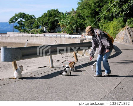 A woman playing with a cat in Yushima (Kamiamakusa City, Kumamoto Prefecture) 132871822
