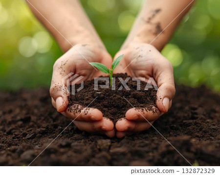 植物樹苗 132872329