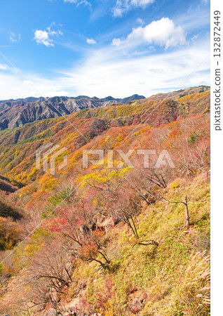 栃木縣日光市:秋葉染紅了足尾地區的山脈 栃木縣日光市:秋葉染紅了足尾地區的山脈 132872449