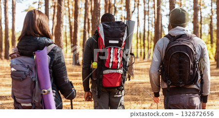Closeup of three multiracial backpackers walking by pine forest 132872656