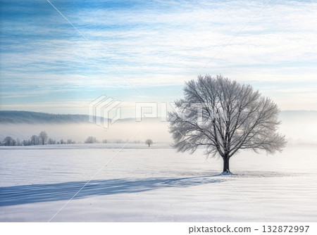 Solitary Frost Covered Tree in Snowy Winter Field with Minimalist Landscape and Peaceful Morning Light 132872997