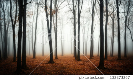 A tranquil forest is enveloped in dense mist, creating an ethereal atmosphere. 132873267