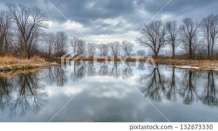 The calm river reflects bare tree silhouettes under a cloudy sky, creating a serene atmosphere. The soft light enhances the natural beauty of the landscape, inviting peaceful contemplation. 132873330