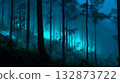 A fantasy forest glowing blue 132873722